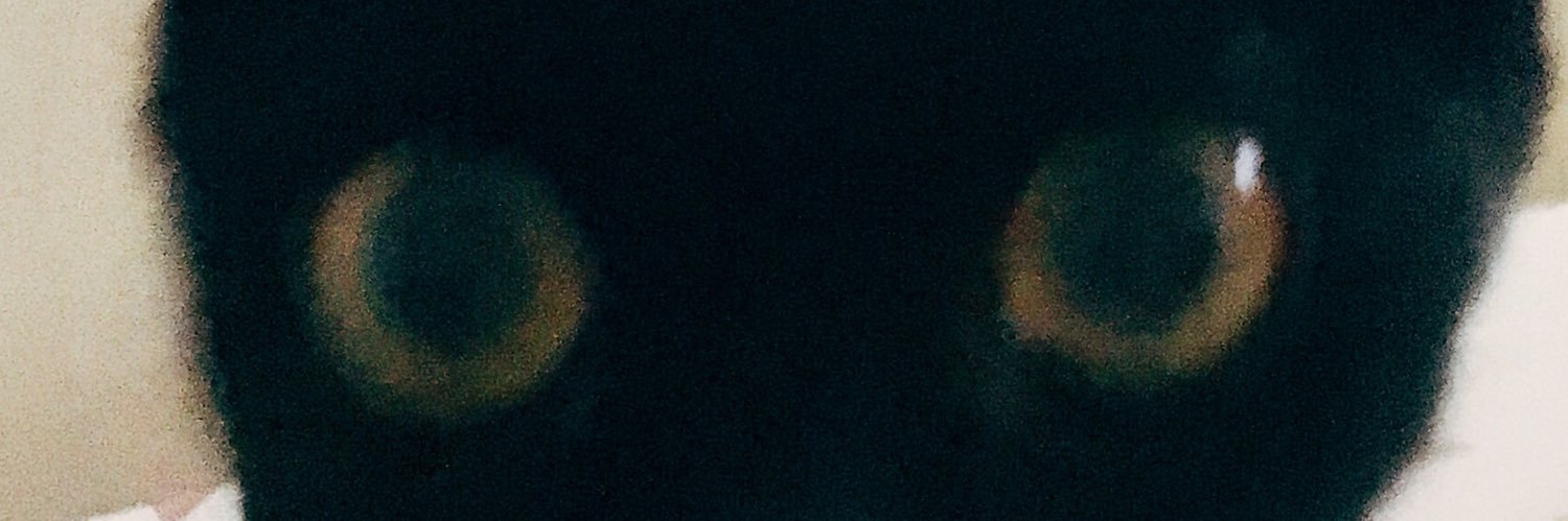 vmdcastro's profile banner image