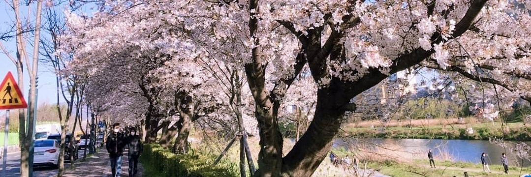 hanbee_95's profile banner image