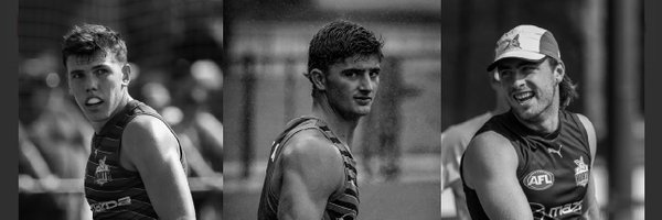 davidking34 Profile Banner