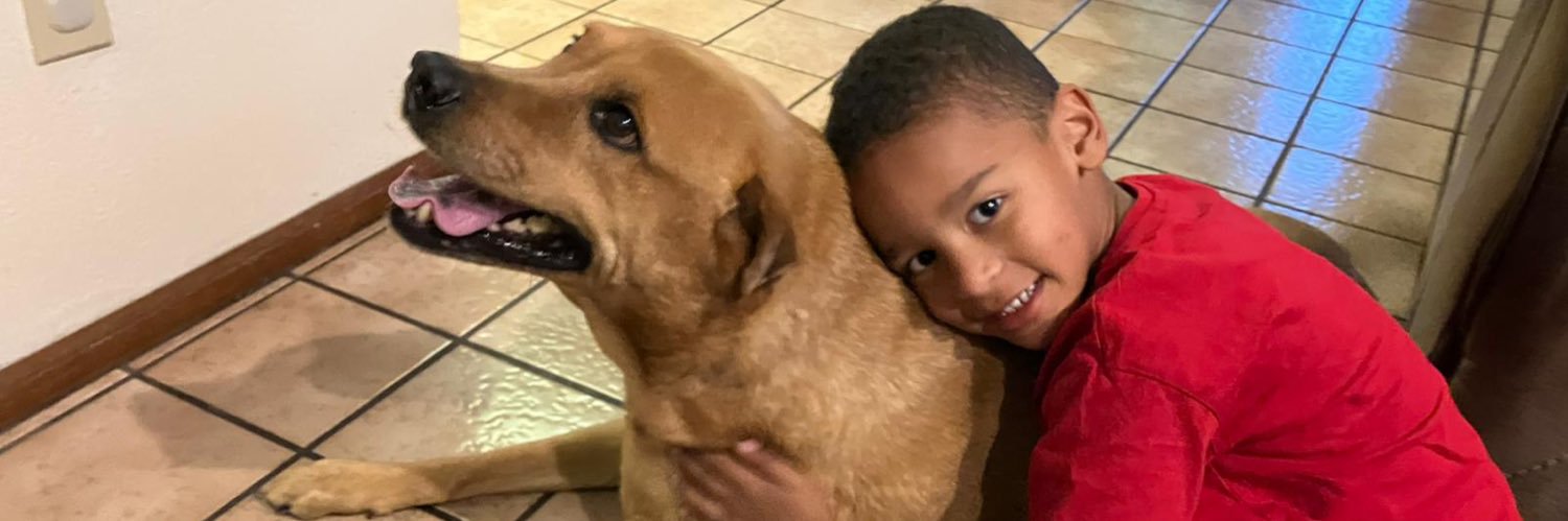 Janine Sandell banner