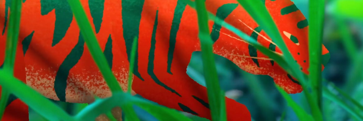 Rebecka Pasieka banner