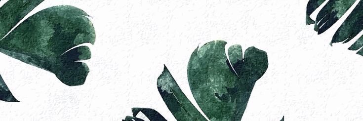 LarinMaude's profile banner image