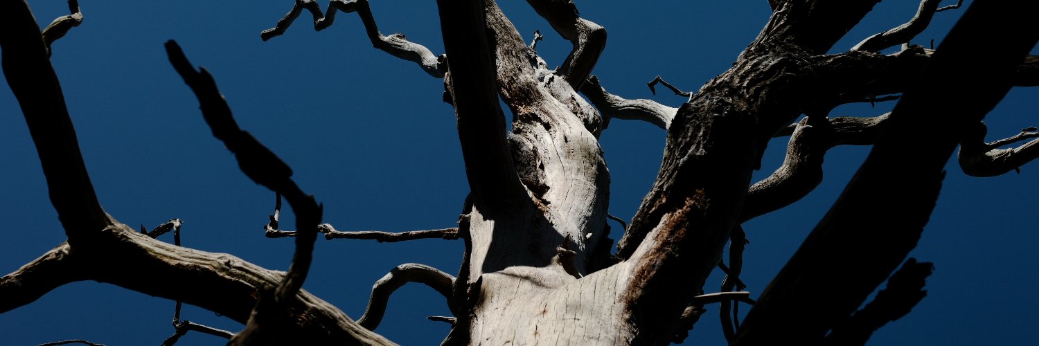 The Long Faces banner