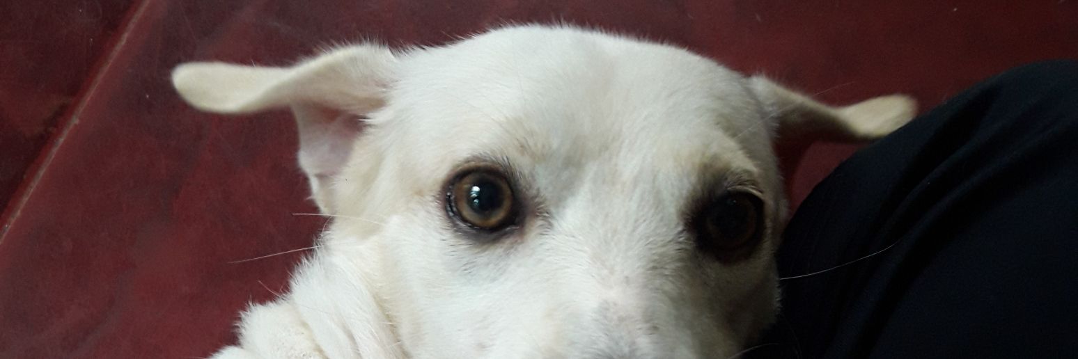 ChristinaLim20's profile banner image