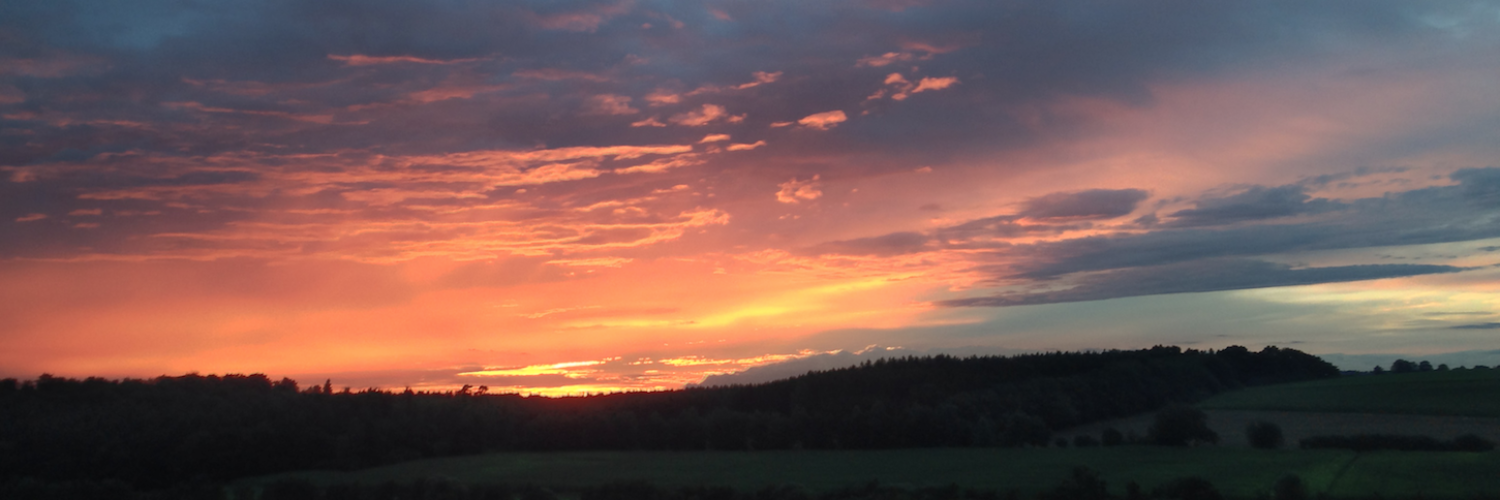 Markus Struck banner