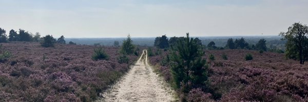 ScheppinkAndre Profile Banner