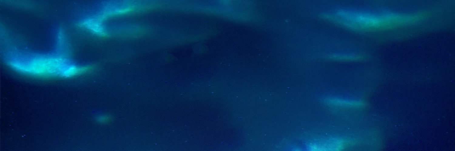 itschristinag's profile banner image