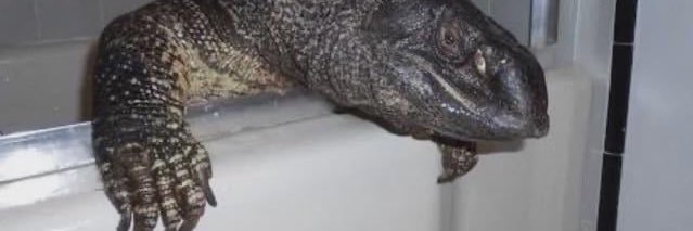 🛏️ banner