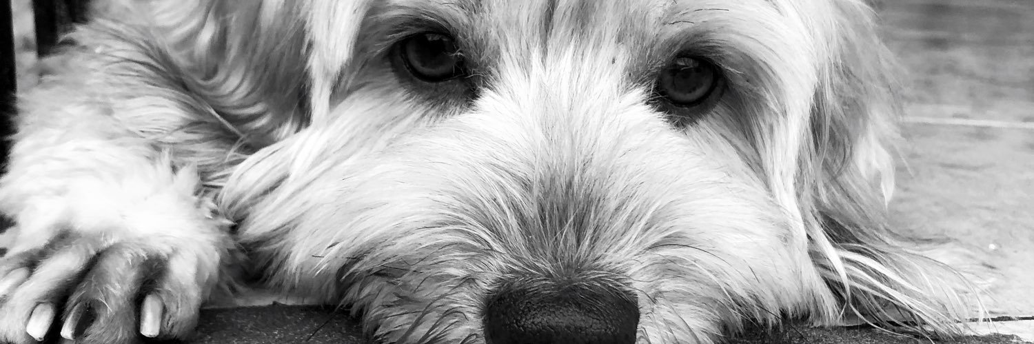 m banner
