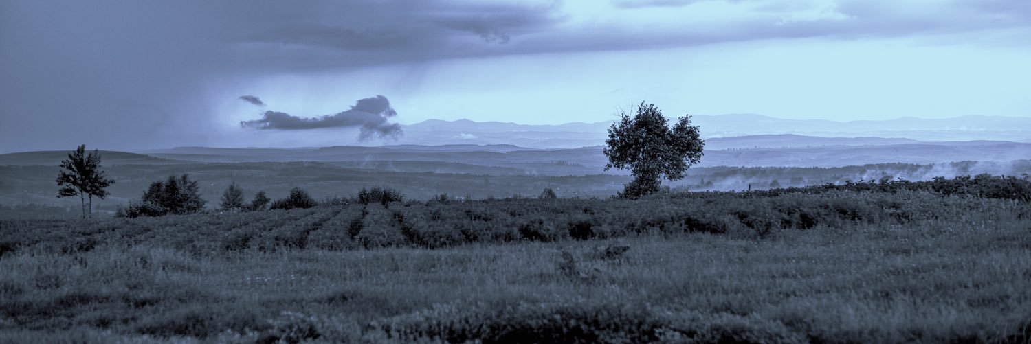 Paul Cheesbrough banner