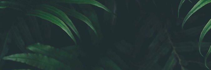_Heathh's profile banner image