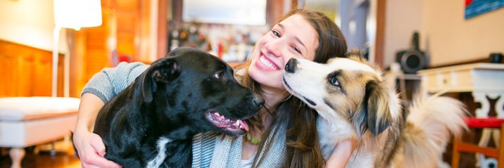 Dog_Matchmaker's profile banner image