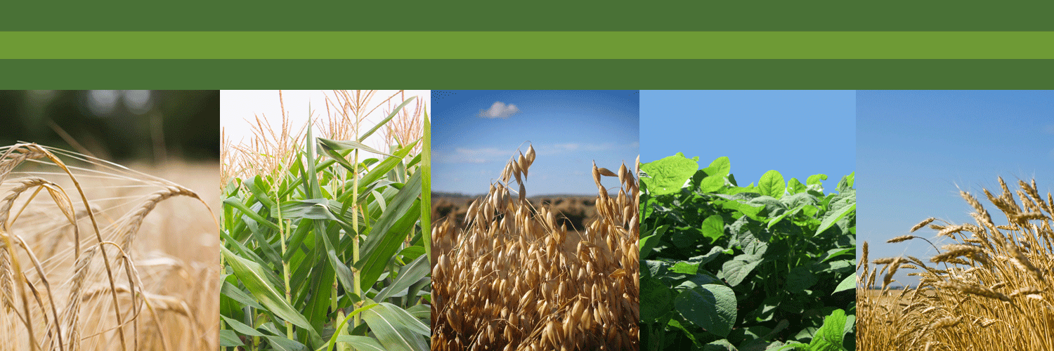 Grain Farmers of Ontario's banner