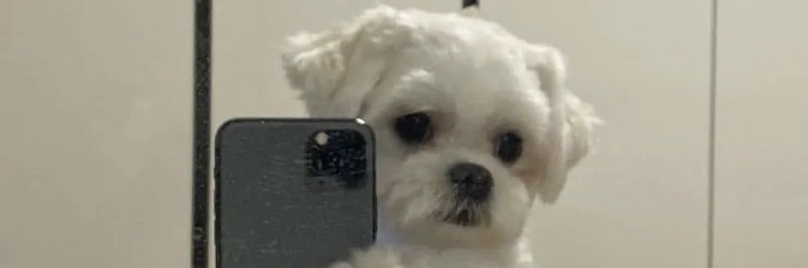 3ceegee's profile banner image