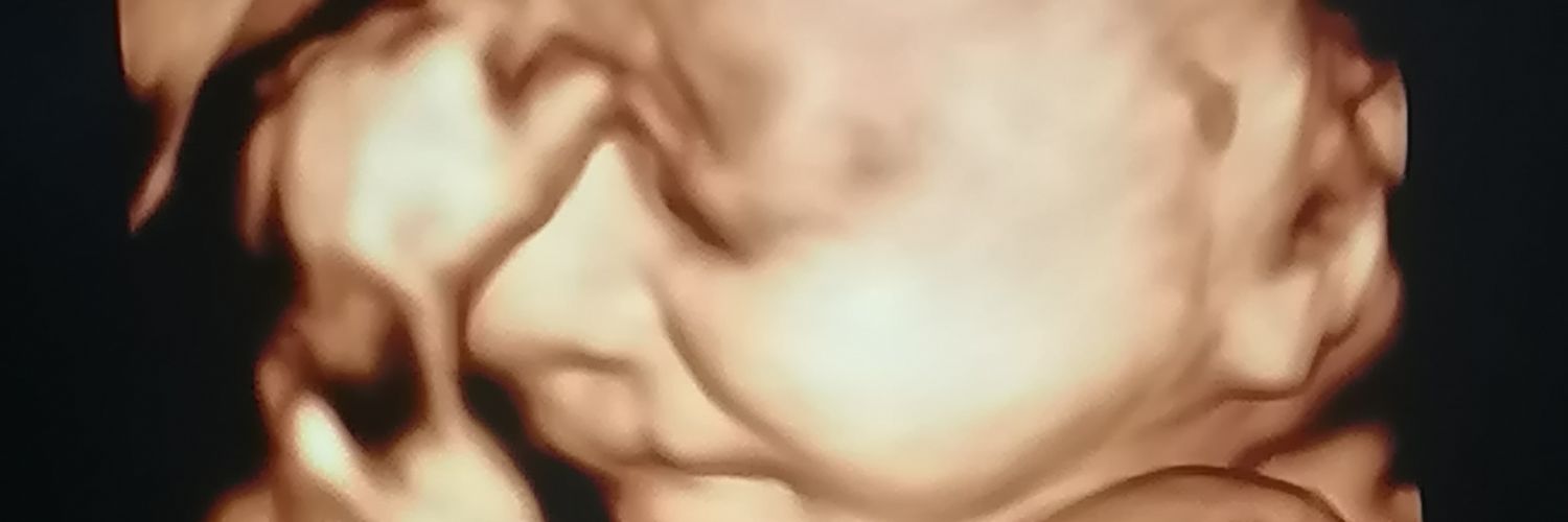 gide44's profile banner image