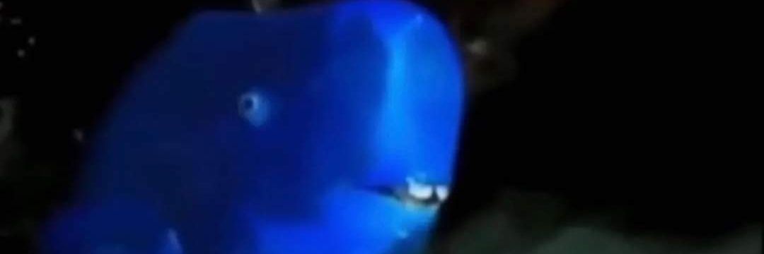 Dirk Witherspoon banner