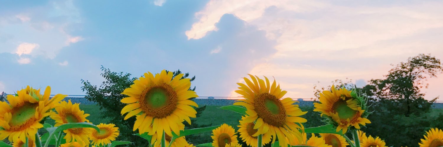 ちゃんだゔぉ。 banner