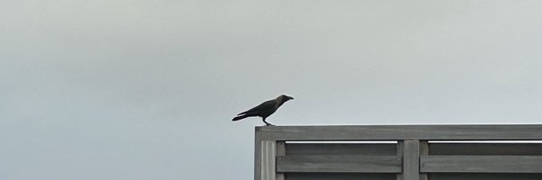 RonnyX2017 Profile Banner