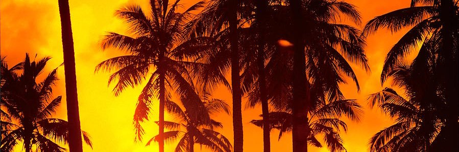 AmanyTheGreat's profile banner image