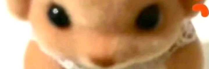🐷 banner