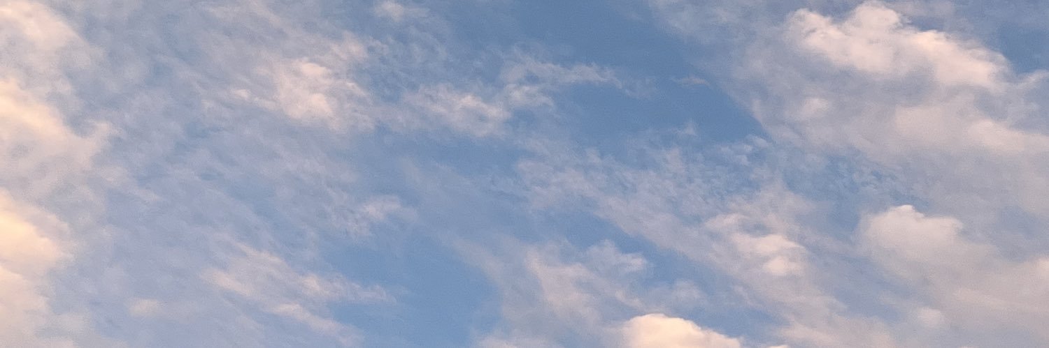 丸太 banner