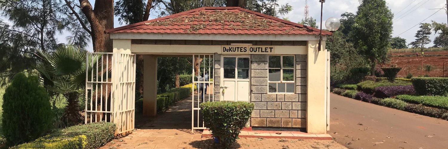 Dekutes's profile banner image
