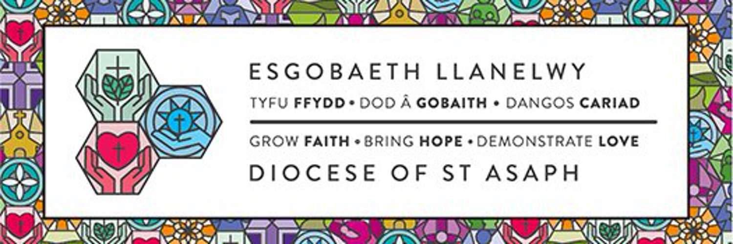 DioceseofStAsaphSchools Profile Banner
