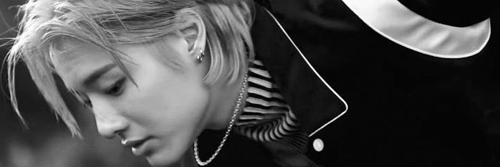 โชเฟอร์ banner