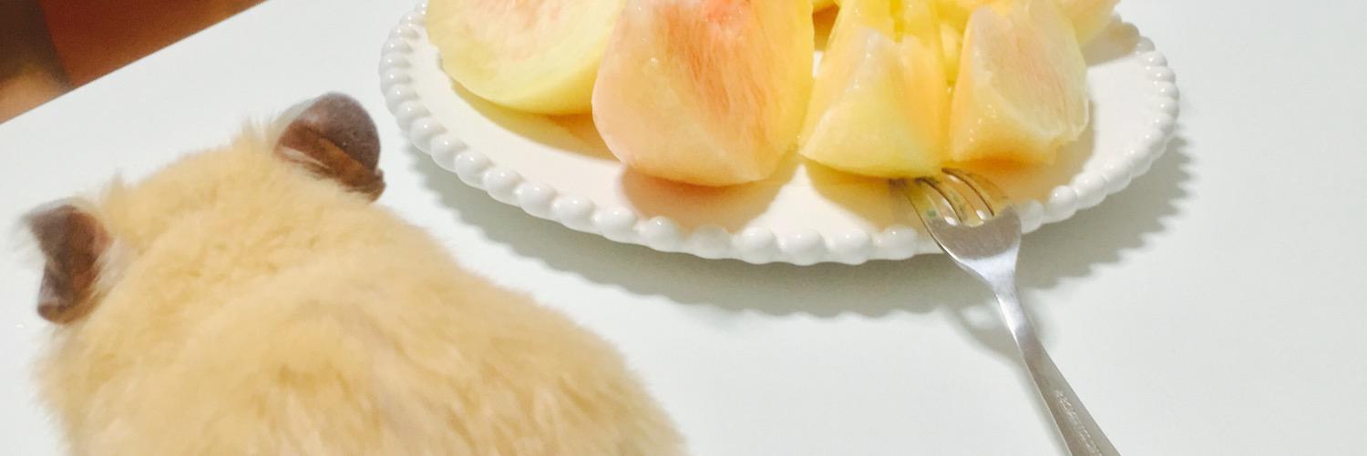 chi_kuta's profile banner image