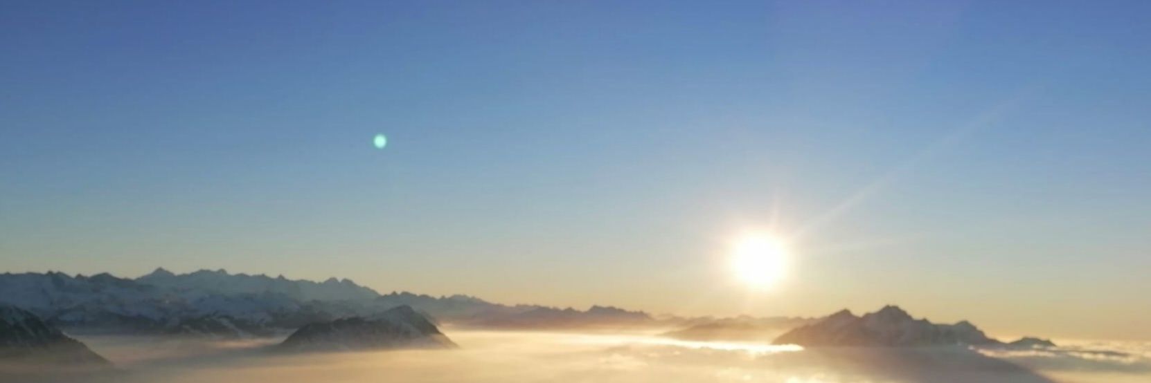 Andreia Ribeiro's banner