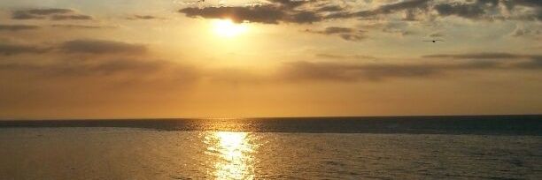 Tami_chi's profile banner image