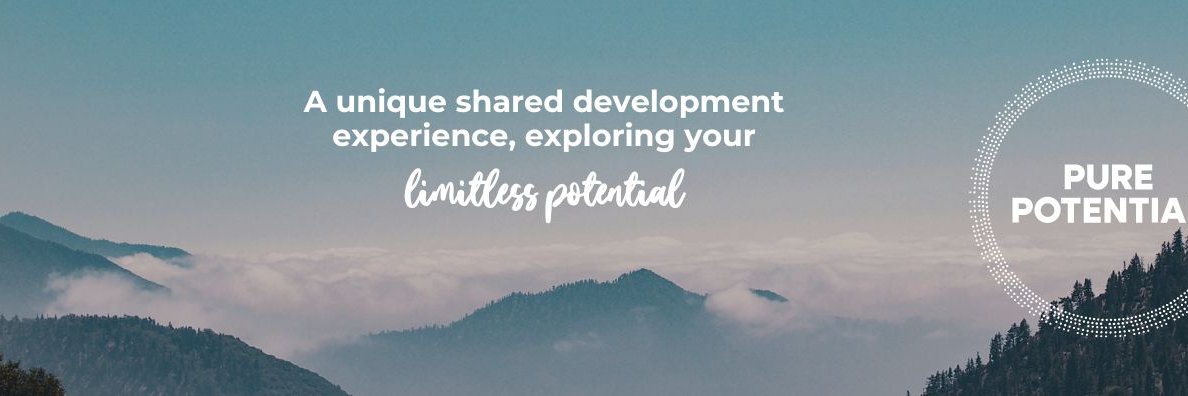 Sarah Armitage banner