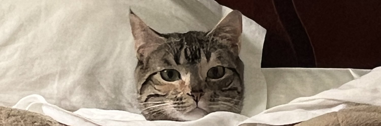 El Pancho Endara banner