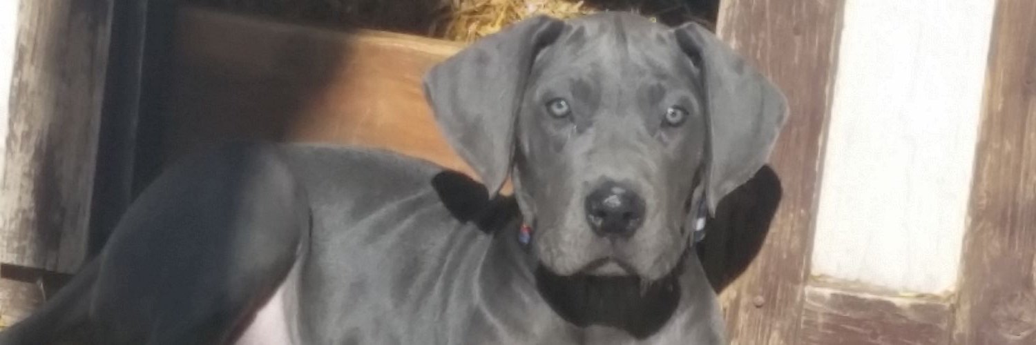 VictoriaBaker94's profile banner image