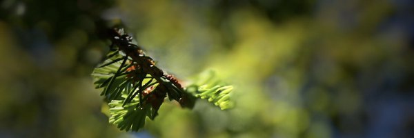 IAmJamesHall Profile Banner