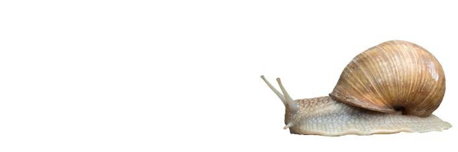snail snail snail snail snail snail snail sn's banner