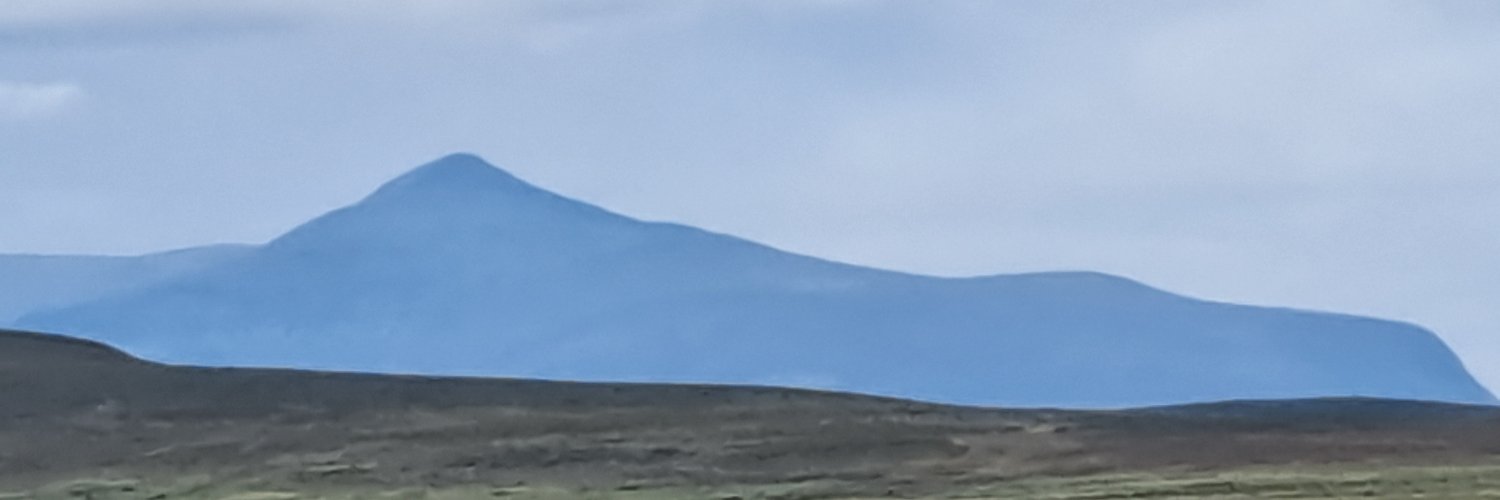 Bitte Assarmo banner