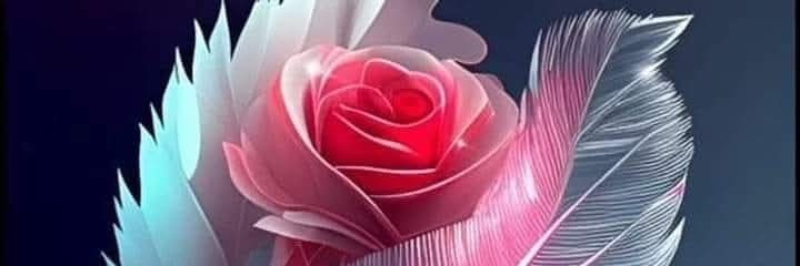 ابوعينها banner