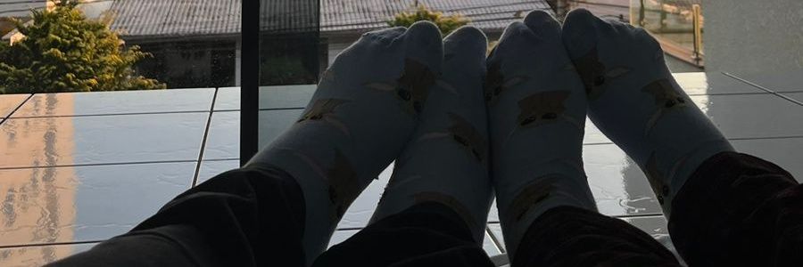 É.li𐦐 banner