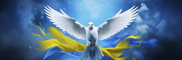 pierrelepigeon1 Profile Banner