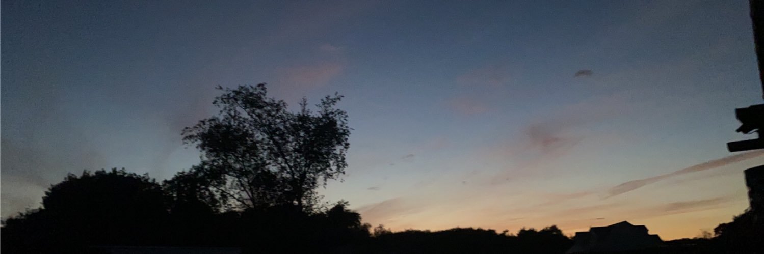 lDxta's profile banner image