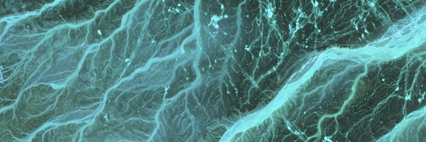Emitwise Profile Banner