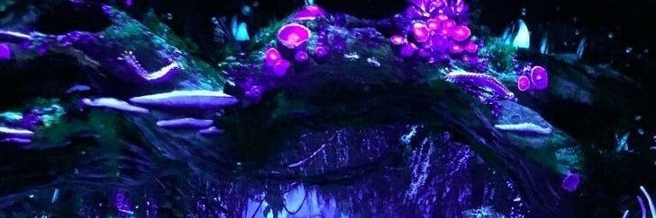 DcLewUndead's profile banner image