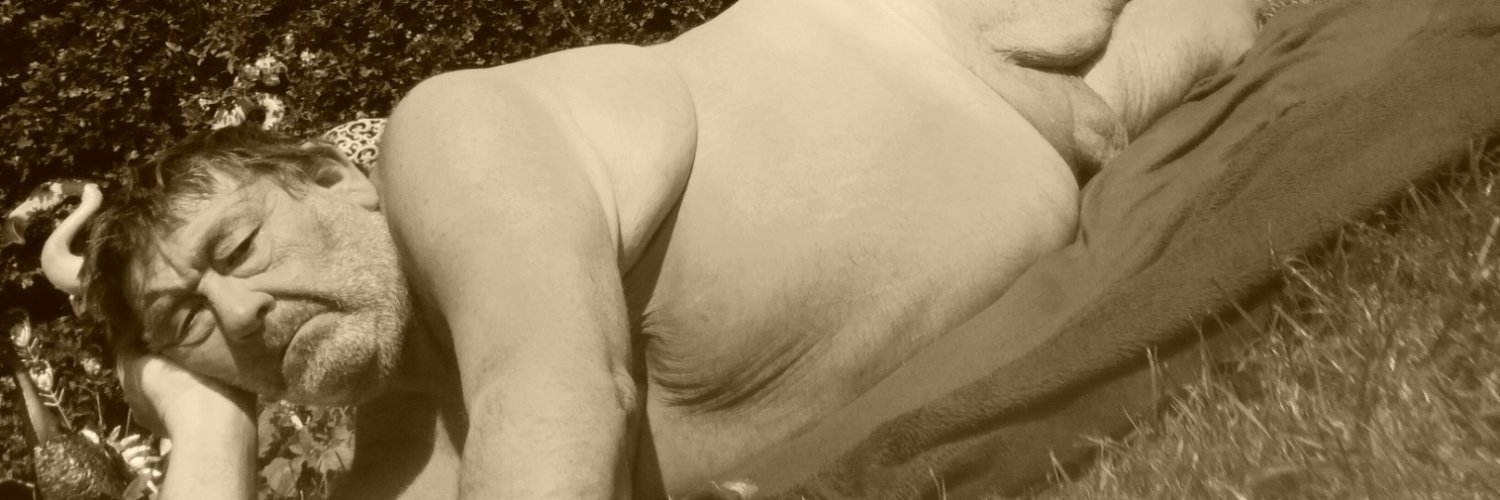 stevewebster61's profile banner image
