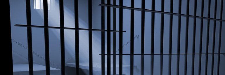 don't bite anyone unless they ask you to banner