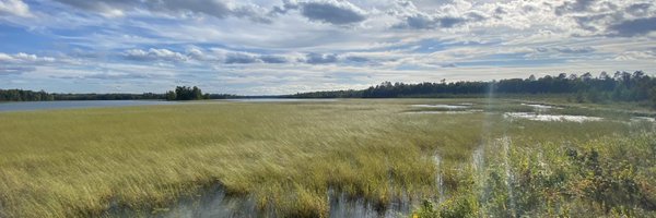 drkatnaps Profile Banner