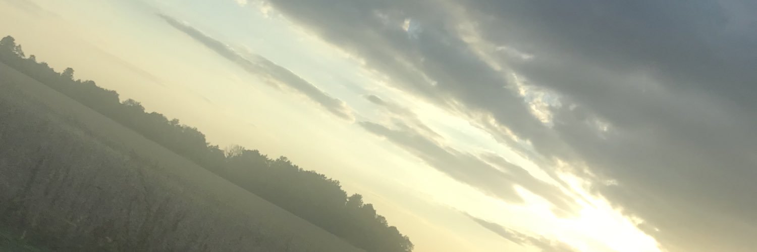 ZoieeTastic's profile banner image