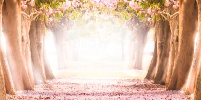 epik_ningrum's profile banner image