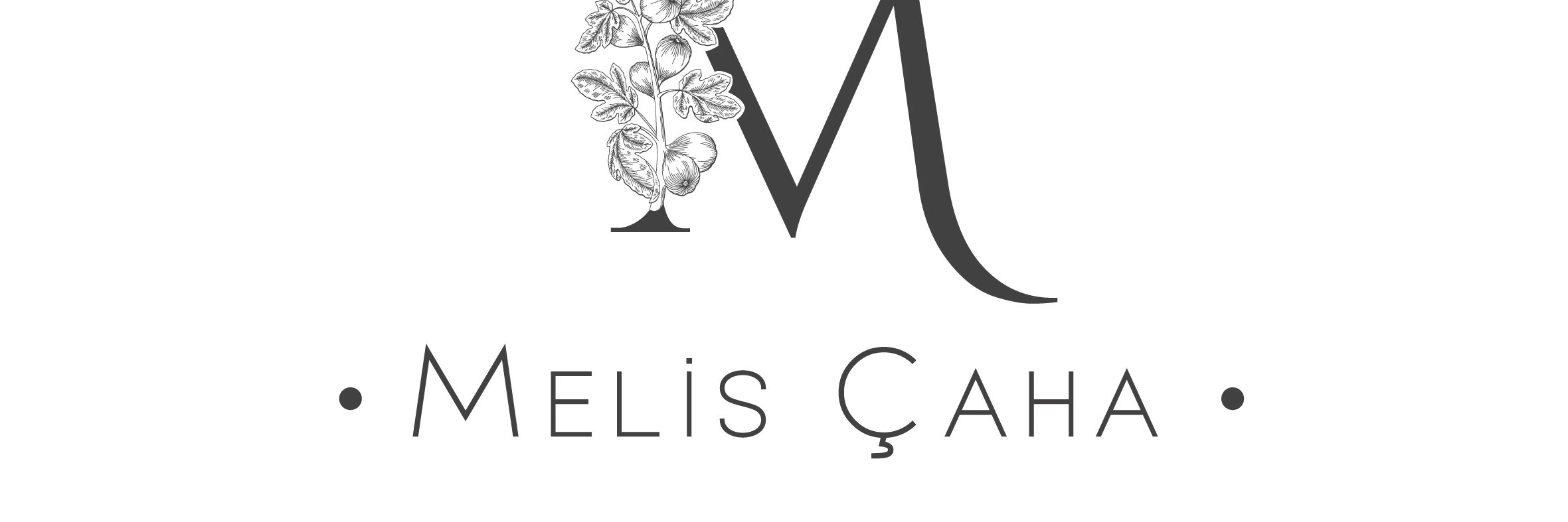 melcmc's profile banner image