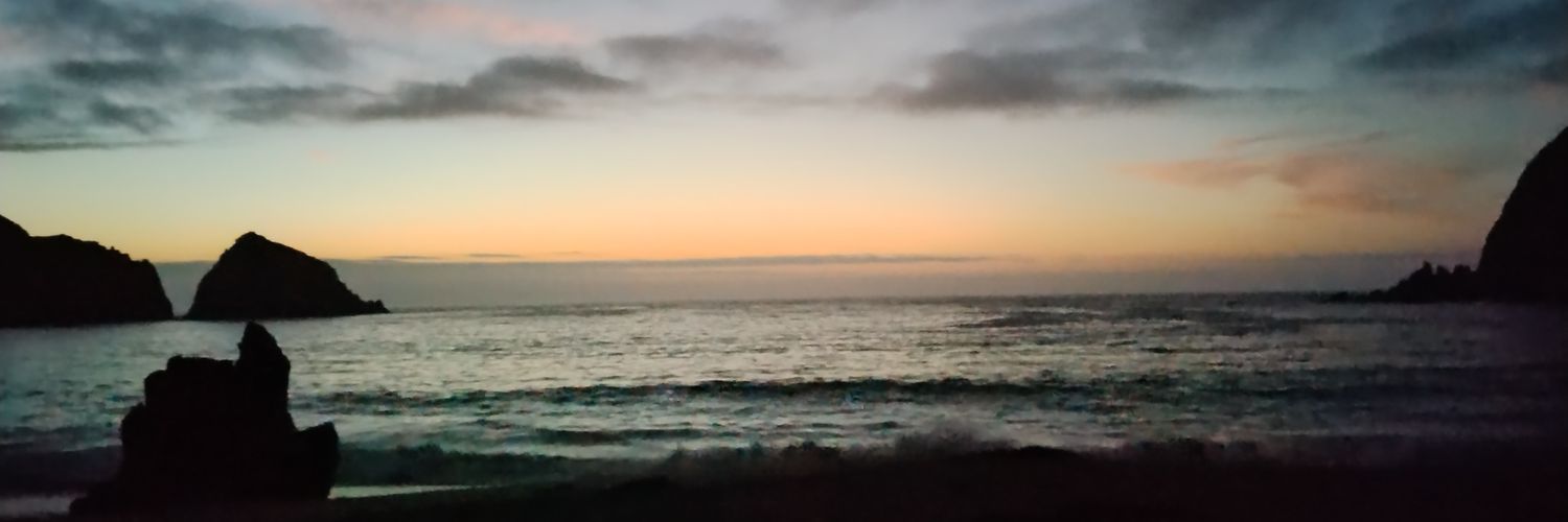 Pegasus335's profile banner image